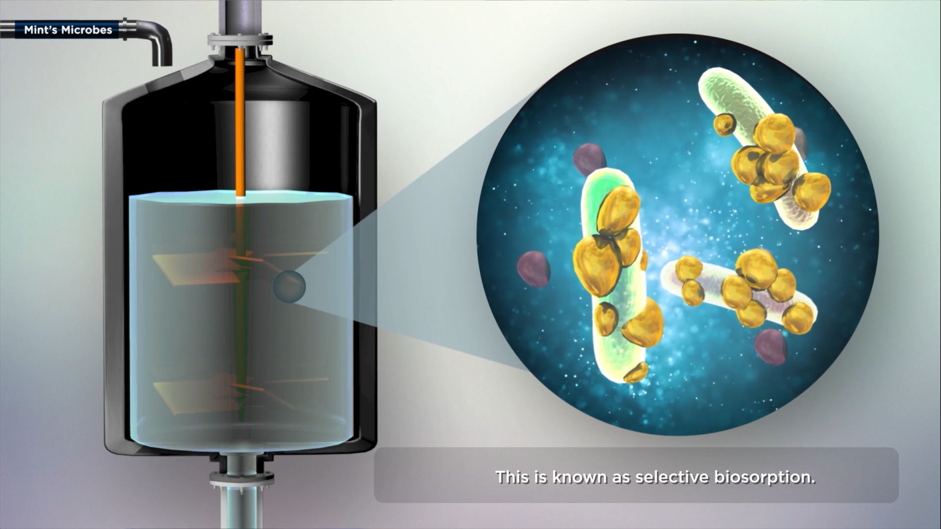 Mint Biotech - 3D science animation