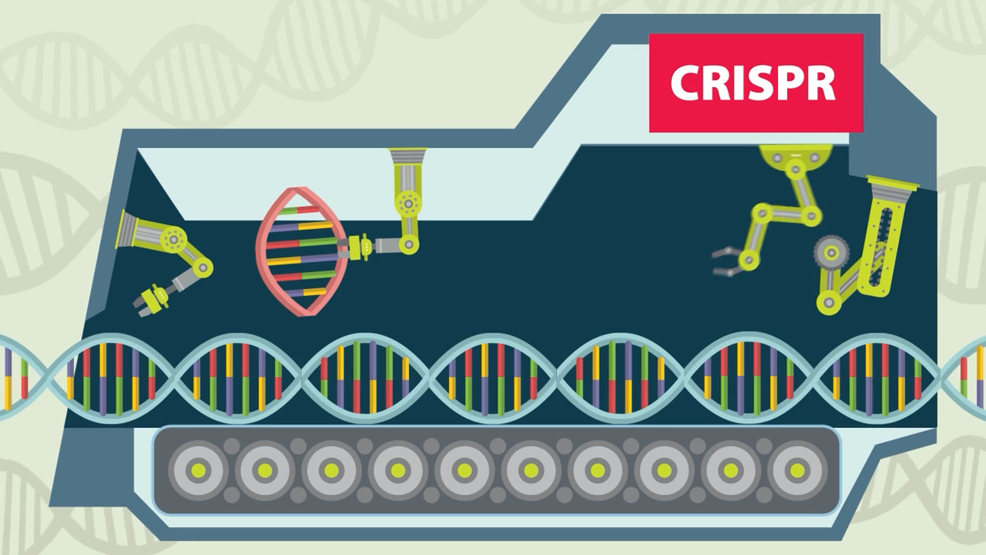 CRISPR Animation - Royal Society NZ